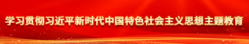 大屌小屄学习贯彻习近平新时代中国特色社会主义思想主题教育